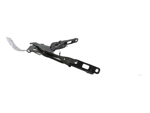 Hinge/Door check strap PEUGEOT 208 II (UB_, UP_, UW_, UJ_) 1.2 Hybrid 100 | BP24245965C146 