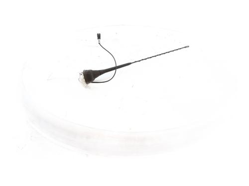 Antenna/Base CITROËN C3 II (SC_) 1.4 HDi 70 (SC8HZC, SC8HR0, SC8HP4) | BP32024269C140 