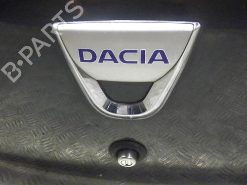 Tailgate DACIA SANDERO 1.5 dCi | BP24245479C6