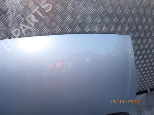 Hood FIAT GRANDE PUNTO (199_) 1.3 D Multijet | BP24244593C1 