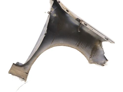 Left front fenders RENAULT CLIO III (BR0/1, CR0/1) 1.2 16V Hi-Flex (BR1U, CR1U) | BP29329303C41 