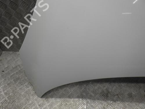 Hood RENAULT SCÉNIC III (JZ0/1_) 1.5 dCi | BP24244903C1