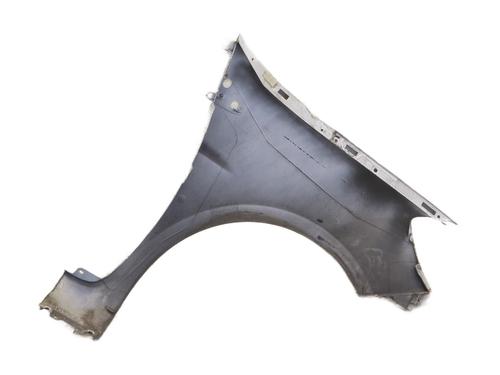 Left front fenders RENAULT CLIO III (BR0/1, CR0/1) 1.5 dCi (C/BR0G, C/BR1G) | BP30854369C41 