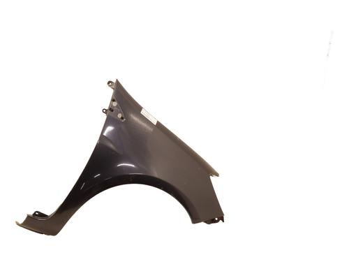 Right front fenders RENAULT CLIO III (BR0/1, CR0/1) 1.5 dCi (BR17, CR17) | BP24248033C42 
