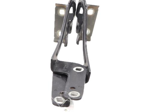 Used Hinge/Door check strap Hinge/Door check strap RENAULT MODUS / GRAND MODUS (F/JP0_) 1.5 dCi (FP0F, JP0F) (86 hp) 36555988 36555988