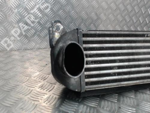 Intercooler LAND ROVER RANGE ROVER SPORT I (L320) 2.7 D 4x4 | BP24252752M30 