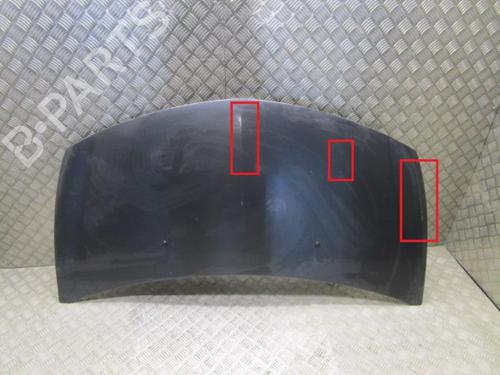 Used Hood RENAULT CLIO III (BR0/1, CR0/1) 1.5 dCi (BR17, CR17) (86 hp) 24932085