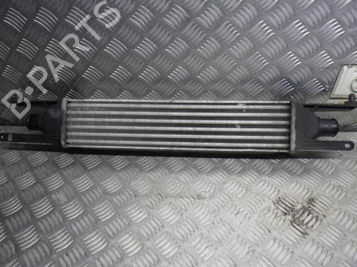 Used Intercooler FIAT GRANDE PUNTO (199_) 1.3 D Multijet (75 hp) 24245430