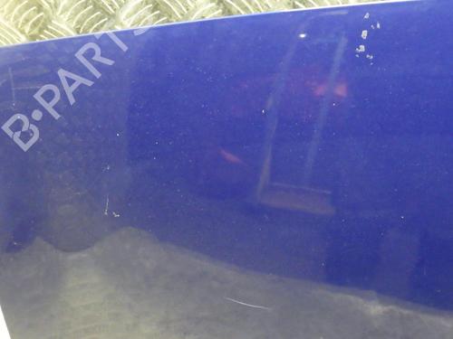 Hood RENAULT MEGANE II (BM0/1_, CM0/1_) 1.5 dCi (BM1E, CM1E) | BP24244696C1 