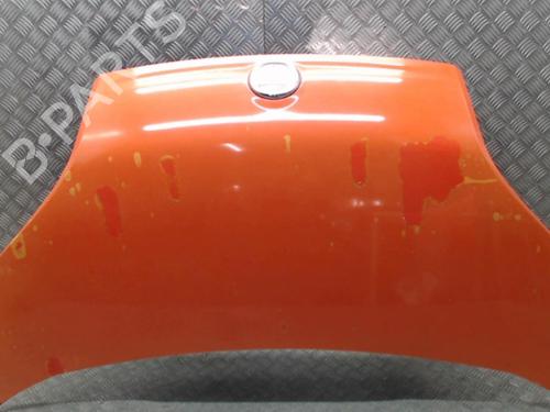 Hood FIAT FIORINO Box Body/MPV (225_) 1.3 D Multijet (225BXD1A, 225BXB1A, 225BXB11) | BP24247429C1 