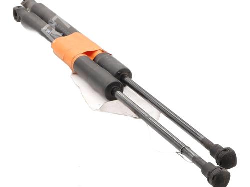 tailgate-lift-support-citroen-ds3-sa_-2009-2010-2011-2012-2013-2014-2015-2016-28417983 main image