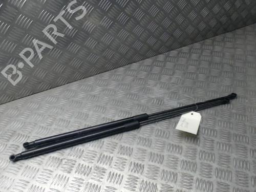 Used Tailgate lift support NISSAN JUKE (F15) 1.5 dCi (110 hp) 24252160