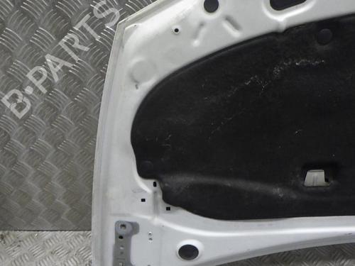 Hood RENAULT CLIO III (BR0/1, CR0/1) 1.5 dCi | BP24246730C1