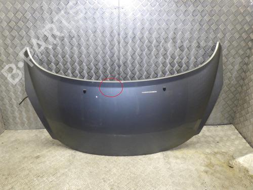 Used Hood PEUGEOT 207 SW (WK_) 1.6 HDi (92 hp) 24248549