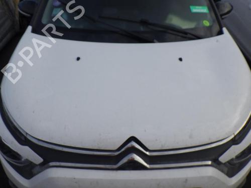 hingedoor-check-strap-citroen-c3-iii-sx-2016-31134075 main image