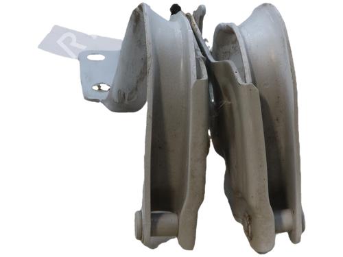 hingedoor-check-strap-fiat-500-312_-2007-38306452 main image