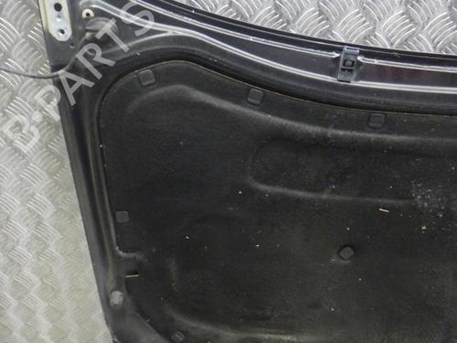 Hood VW POLO IV (9N_, 9A_) 1.4 TDI | BP24246575C1 