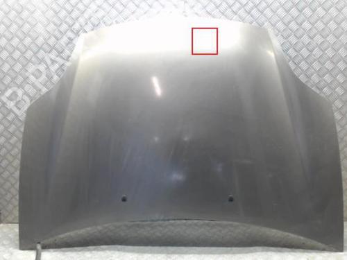 Used Hood FIAT BRAVO II (198_) 1.9 D Multijet (198AXB1A) (120 hp) 24247455