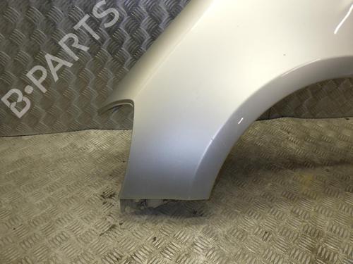 Left front fenders RENAULT CLIO III (BR0/1, CR0/1) 1.2 16V (BR0P, CR0P) | BP24246539C41 