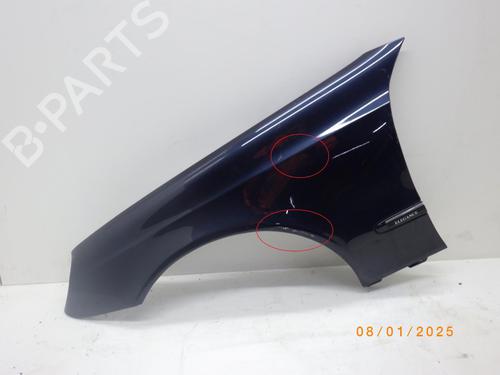 Used Left front fenders MERCEDES-BENZ E-CLASS (W211) [2002-2009]  24244449