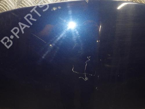 Hood RENAULT CLIO III (BR0/1, CR0/1) 1.2 16V (BR02, BR0J, BR11, CR02, CR0J, CR11) | BP24248326C1 