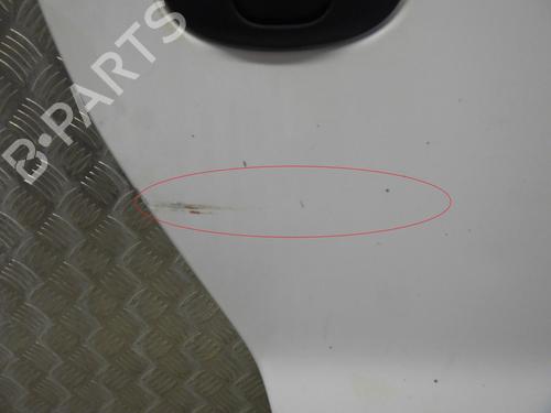 Right front door NISSAN PRIMASTAR Van (X83) 1.9 dCi 100 | BP24248962C3 