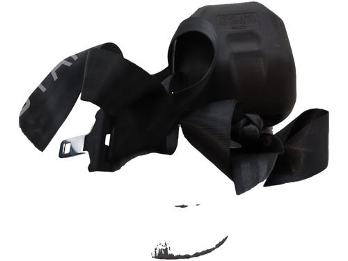 rear-right-seatbelt-citroen-c3-ii-sc_-2009-38490492 main image