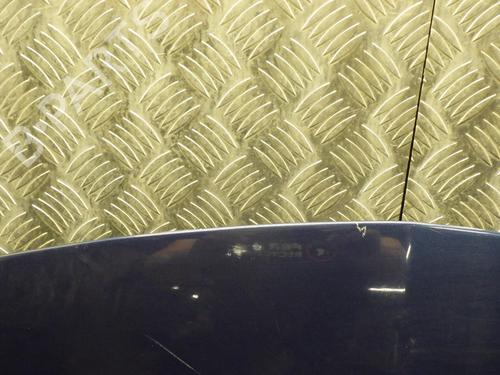 Hood RENAULT CLIO III (BR0/1, CR0/1) 1.2 16V (BR02, BR0J, BR11, CR02, CR0J, CR11) | BP24248326C1 