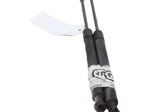tailgate-lift-support-citroen-c3-ii-sc_-2009-39081227 main image