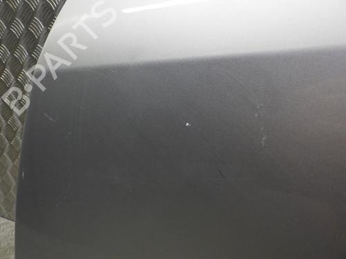 Left rear door RENAULT CLIO III (BR0/1, CR0/1) 1.5 dCi (BR17, CR17) | BP24251168C4 