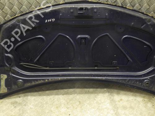 Hood RENAULT CLIO III (BR0/1, CR0/1) 1.2 16V (BR02, BR0J, BR11, CR02, CR0J, CR11) | BP24248326C1 