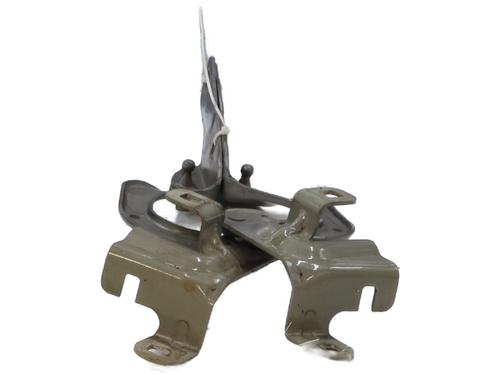 hingedoor-check-strap-renault-captur-i-j5_-h5_-2013-32060620 main image