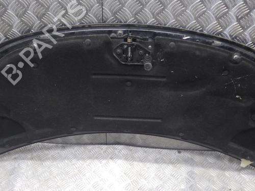 Hood SMART FORFOUR (454) 1.1 (454.033) | BP24246320C1