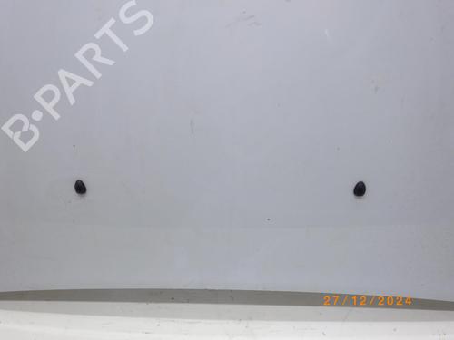 Hood DACIA SANDERO II 1.2 | BP24250177C1 