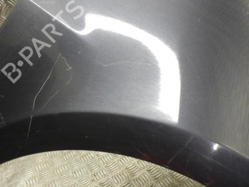 Right front fenders RENAULT CLIO III (BR0/1, CR0/1) 1.5 dCi (C/BR0G, C/BR1G) | BP24247119C42 