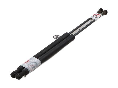 tailgate-lift-support-citroen-c3-ii-sc_-2009-29919018 main image