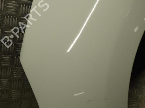 Left front fenders RENAULT SCÉNIC III (JZ0/1_) 1.5 dCi | BP24246481C41 