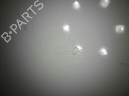 Left front door FORD TRANSIT CONNECT (P65_, P70_, P80_) 1.8 TDCi | BP24249134C2 
