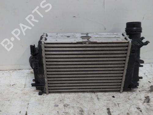Intercooler NISSAN QASHQAI II (J11, J11_) 1.3 DIG-T | BP29484204M30 