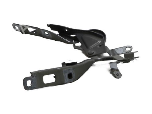 Hinge/Door check strap PEUGEOT 208 II (UB_, UP_, UW_, UJ_) 1.2 Hybrid 100 | BP24245965C146 