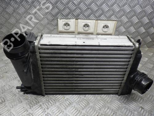 Intercooler RENAULT MEGANE IV Hatchback (B9A/M/N_) 1.5 dCi 110 (B9A3) | BP24250657M30 - Image 4