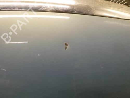 Used Hood FORD FOCUS II (DA_, HCP, DP) 1.6 TDCi (90 hp) 24247178