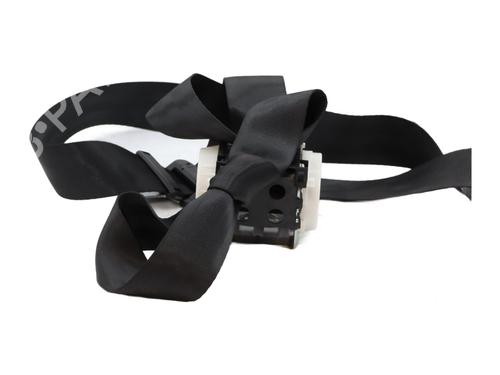 rear-left-seatbelt-ds-ds-3-sa_-2015-2016-2017-2018-2019-33564367 main image