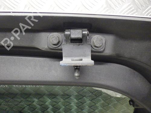 Tailgate PEUGEOT 308 II (LB_, LP_, LW_, LH_, L3_) 1.6 HDi / BlueHDi 115 | BP24245478C6