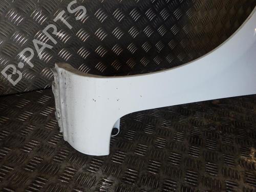 Left front fenders RENAULT CLIO III (BR0/1, CR0/1) 1.5 dCi | BP24246752C41 