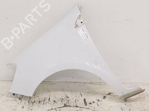 Left front fenders RENAULT CLIO III (BR0/1, CR0/1) 1.5 dCi (C/BR0G, C/BR1G) | BP30854369C41 