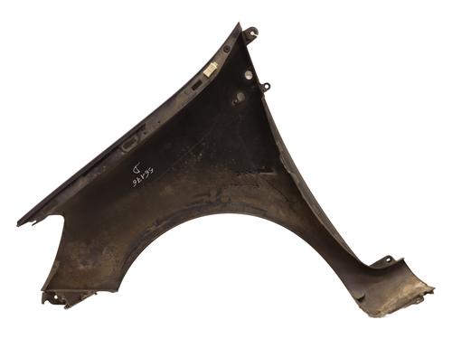 Right front fenders RENAULT CLIO III (BR0/1, CR0/1) 1.5 dCi (BR17, CR17) | BP24248033C42 