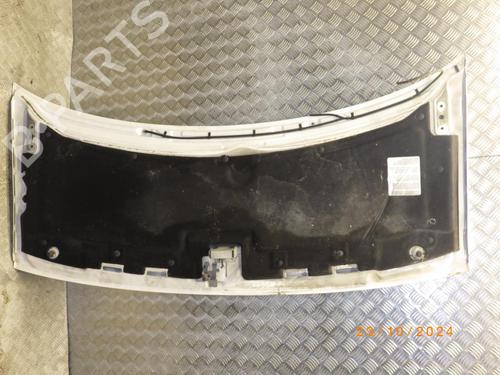 Hood CITROËN JUMPY I (U6U_) 2.0 HDi 110 | BP25039829C1 