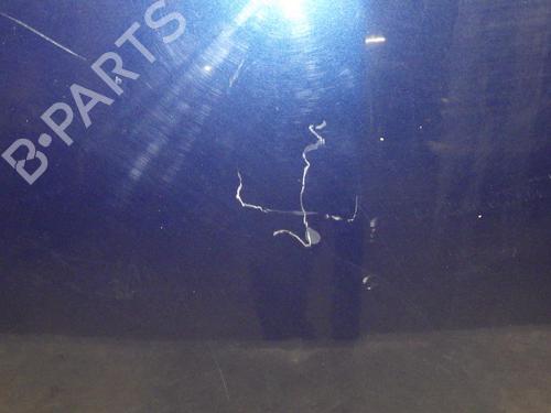 Hood RENAULT CLIO III (BR0/1, CR0/1) 1.2 16V (BR02, BR0J, BR11, CR02, CR0J, CR11) | BP24248326C1 