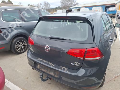 Used Tailgate VW GOLF VII (5G1, BQ1, BE1, BE2) 1.6 TDI (105 hp) 31705011